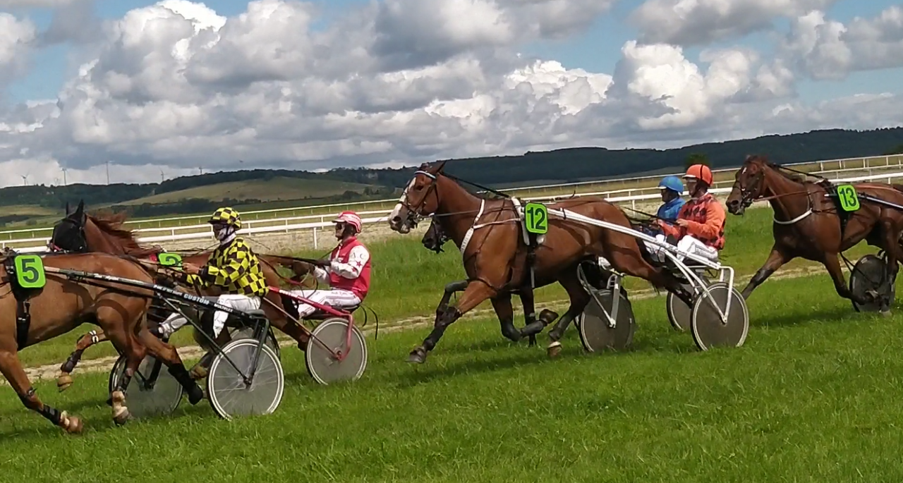 Achat part sale trotteur course